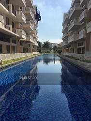 Whitehaven (D5), Apartment #142228572